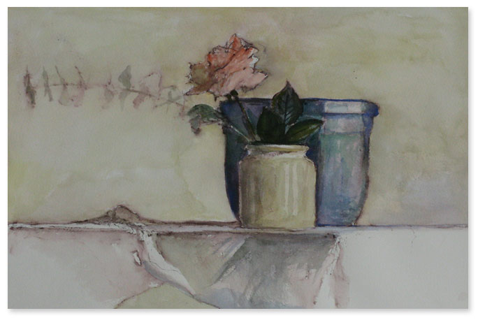 Rose in Pot