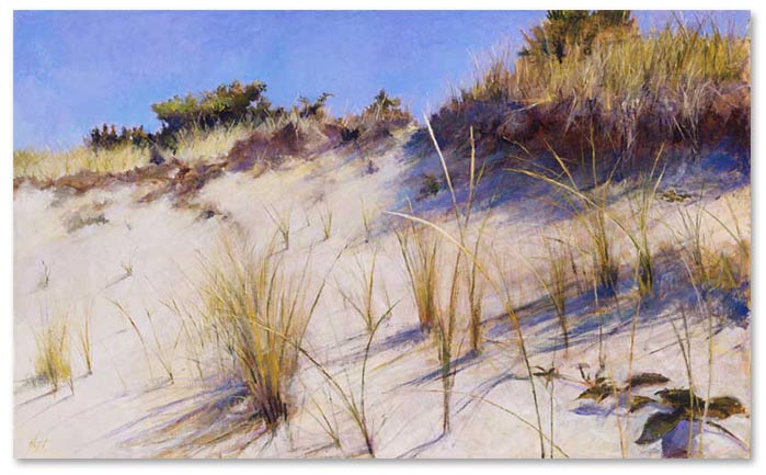 Leonnie's Dune