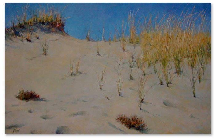 Yellow Dune Grass