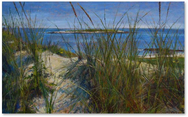 Dune Grass